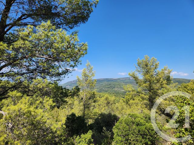 terrain à vendre - 10000.0 m2 - SOLLIES TOUCAS - 83 - PROVENCE-ALPES-COTE-D-AZUR - Century 21 Colbert Immobilier